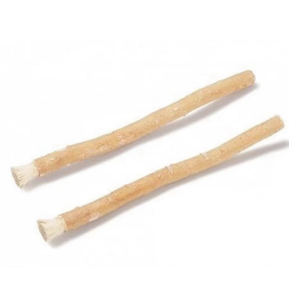 Miswak Siwak Natural Tree Twig – Teeth Whitening Naturally recenzja i cena