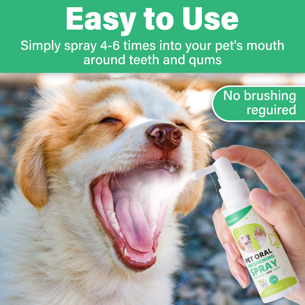 Ulroyda Pet Oral Freshening Sp – Teeth Whitening Cream recenzja i cena