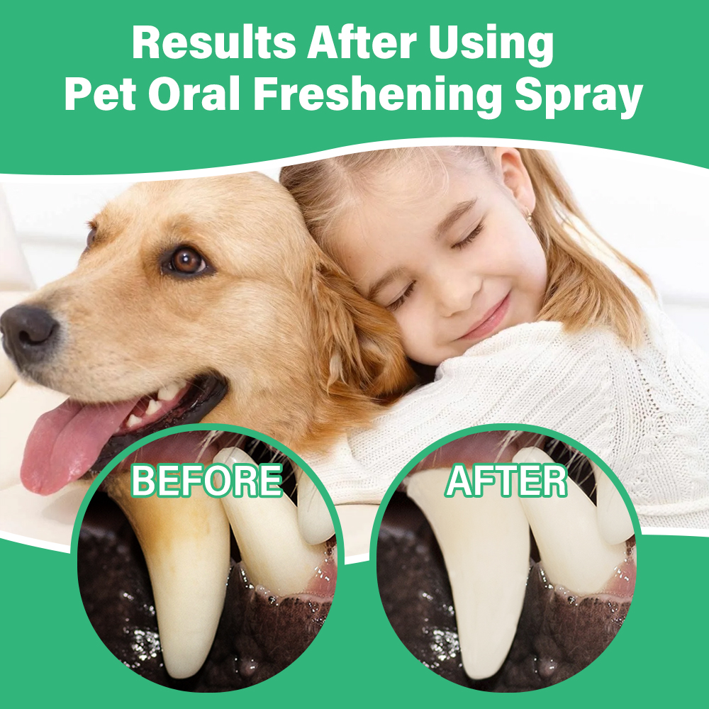 Ulroyda Pet Oral Freshening Sp – Teeth Whitening Cream recenzja i cena
