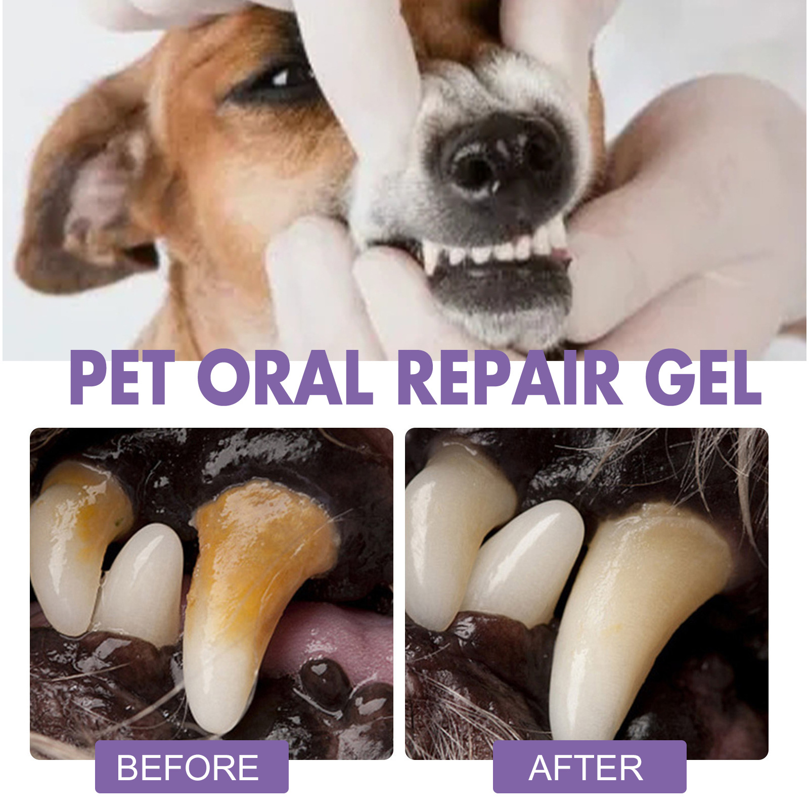 Pet Oral Repair Gel Puppy Tart – Teeth Whitening With Hydrogen Peroxide recenzja i cena
