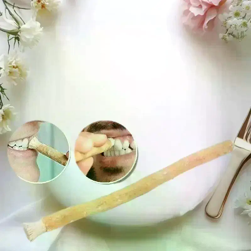 1Pcs Portable Natural Miswak T – Teeth Whitening Naturally recenzja i cena