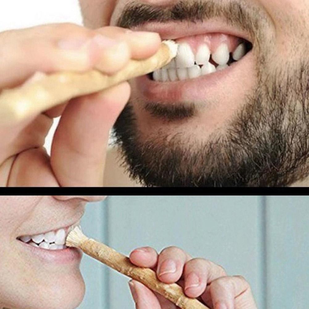 Natural Miswak Siwak Toothbrus – Teeth Whitening Naturally recenzja i cena